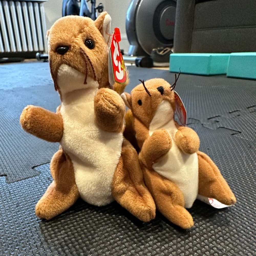 5/$30 - Beanie Baby - Nuts